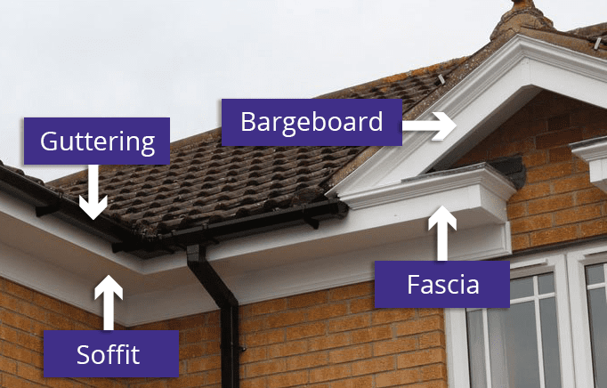 RF-Fascia